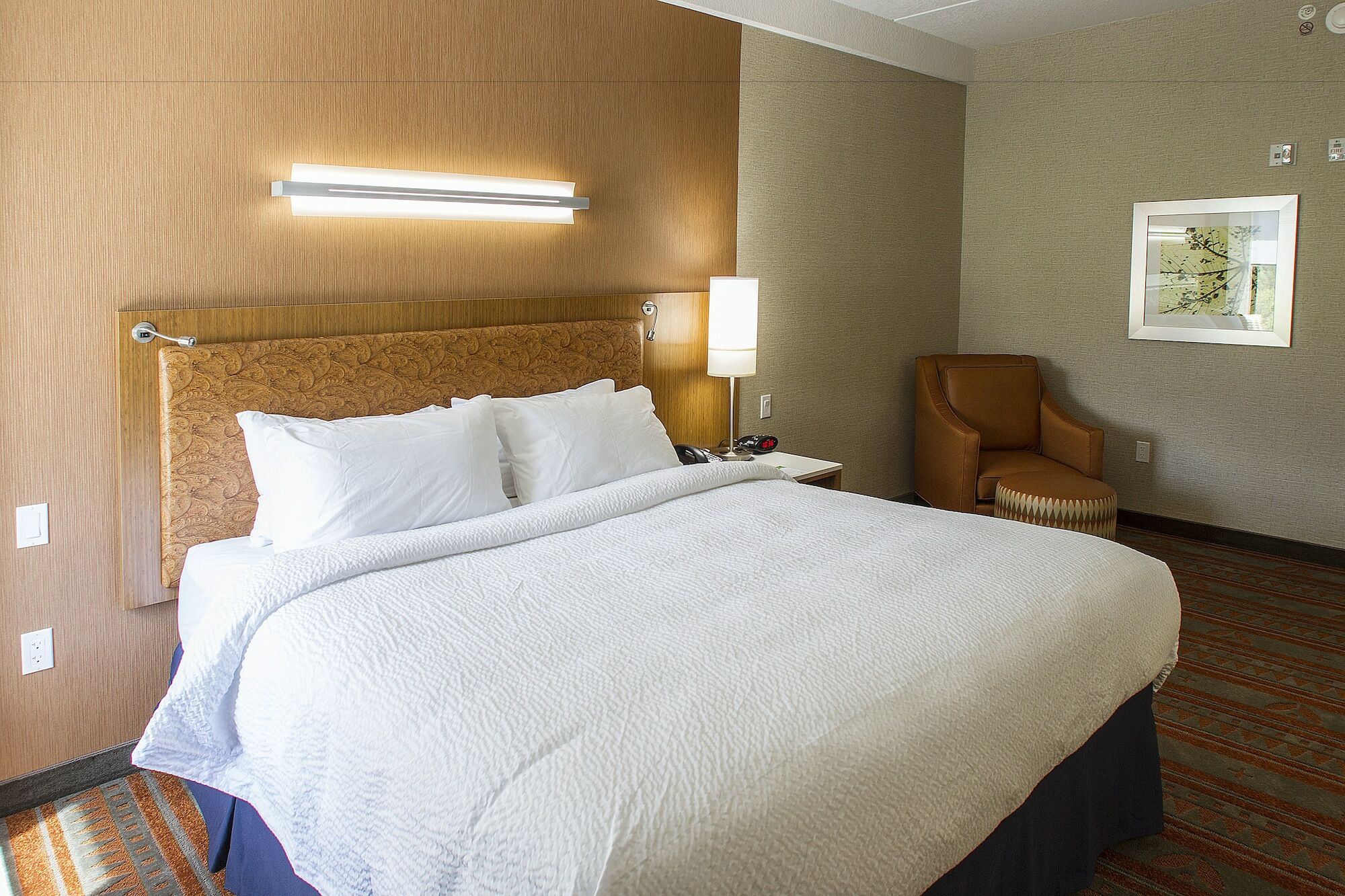 Springhill Suites By Marriott Дедууд Екстериор снимка